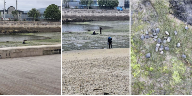 Sorprendido en la playa de Bouzas con 27 almejas en los bolsillos