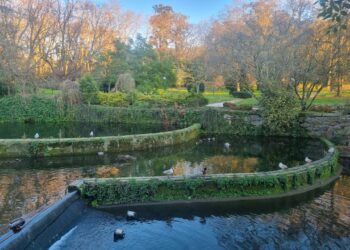 Vigo paraliza la limpieza de una de sus mayores (y olvidadas) joyas naturales