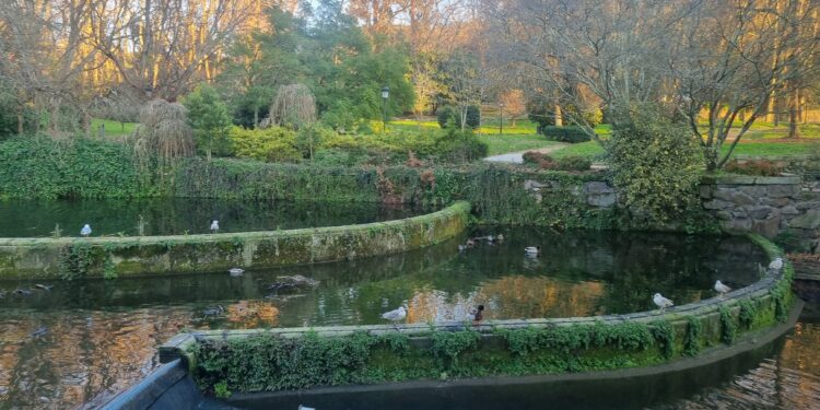 Vigo paraliza la limpieza de una de sus mayores (y olvidadas) joyas naturales