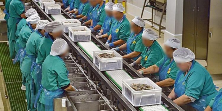 Una conservera de Vigo, obligada a transformar 31 contratos fijos discontinuos en indefinidos