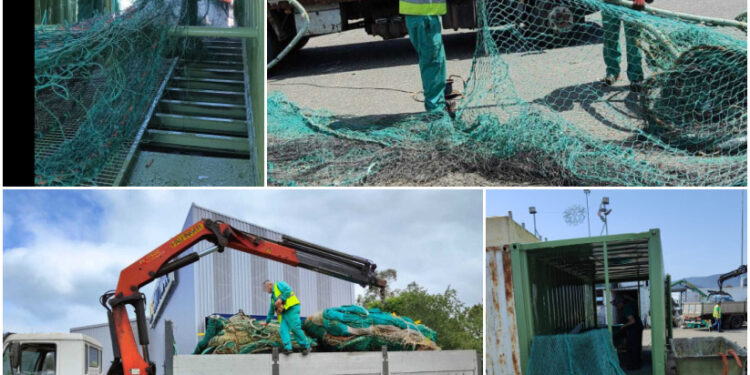 El puerto de Vigo y Cepesca lideran la revolución verde llegada desde el mar