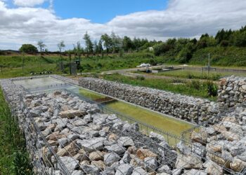 Aimen desarrolla soluciones basadas en la naturaleza para hacer frente al cambio climático y la escasez de agua