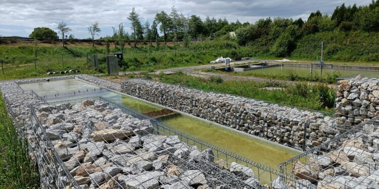 Aimen desarrolla soluciones basadas en la naturaleza para hacer frente al cambio climático y la escasez de agua