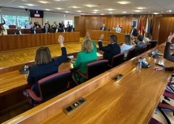 El PPdeG tacha de «localismos» las demandas para impartir Medicina en Vigo y A Coruña