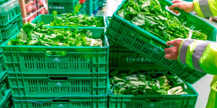 Gadis refuerza su compromiso con la sostenibilidad medioambiental