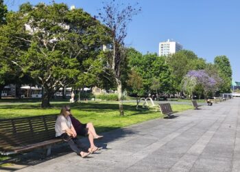 Decretada la alerta por calor extremo… y aparecen los primeros incendios forestales