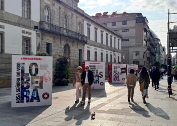 Recuperando las verbenas