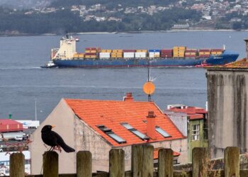 Si los pájaros hablaran