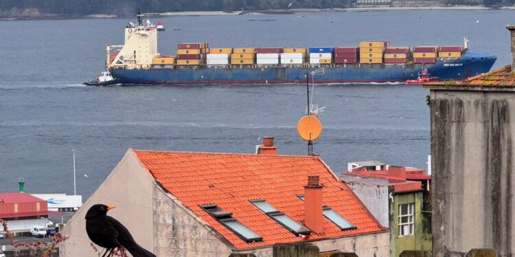 Si los pájaros hablaran