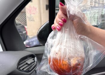 Una de pulpo para casa