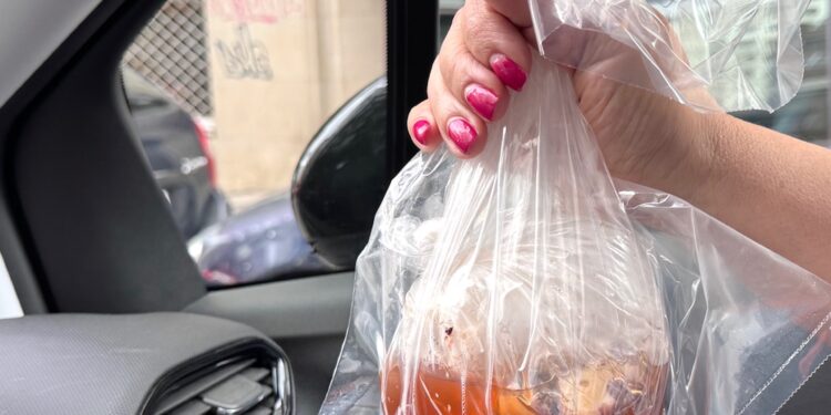 Una de pulpo para casa