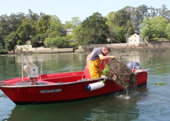 La Consellería do Mar veta la pesca del choco en Vigo hasta noviembre