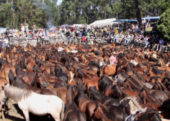 Todo preparado para celebrar el espectacular curro de Mougás