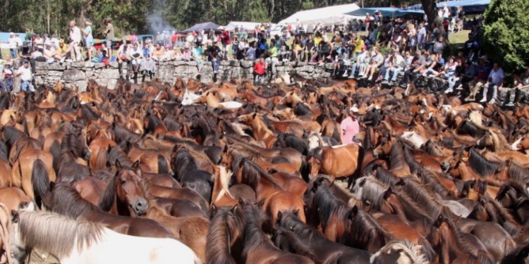 Todo preparado para celebrar el espectacular curro de Mougás