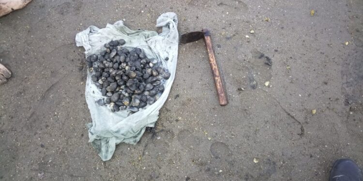 Identificados tres furtivos, uno reincidente, cuando extraían almeja ilegalmente en una playa de Vigo