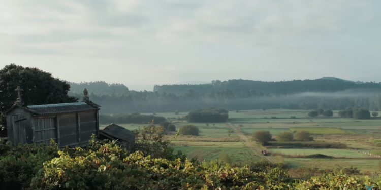 Segundo reconocimiento internacional para la campaña de la Diputación Cando volves?