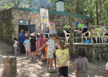 La apuesta del parque forestal más antiguo de Vigo: quiosco, aseos y asadores todo el verano