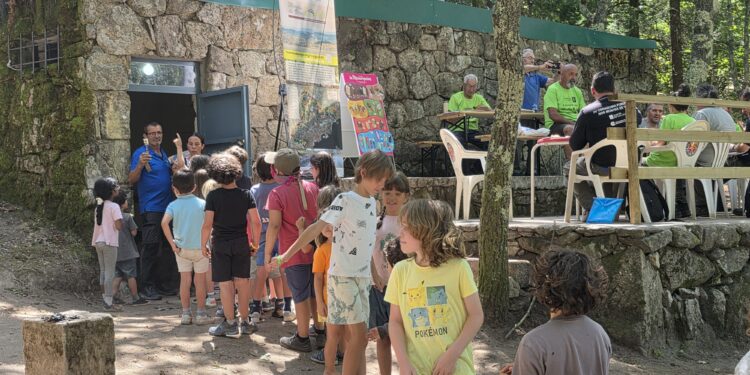 La apuesta del parque forestal más antiguo de Vigo: quiosco, aseos y asadores todo el verano