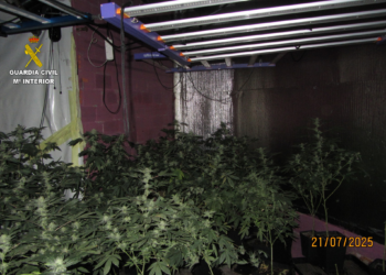 Desmantelada una plantación indoor de marihuana que se abastecía con un enganche ilegal a la red eléctrica