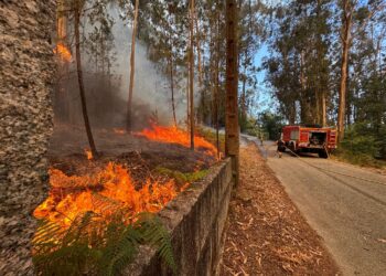 Peligro para varios núcleos de población por un gran incendio forestal de nivel 2 en Salvaterra