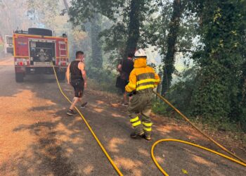 Peligro para varios núcleos de población por un gran incendio forestal de nivel 2 en Salvaterra