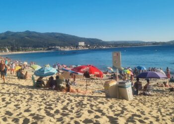 Mi apoyo a los jodechinchos