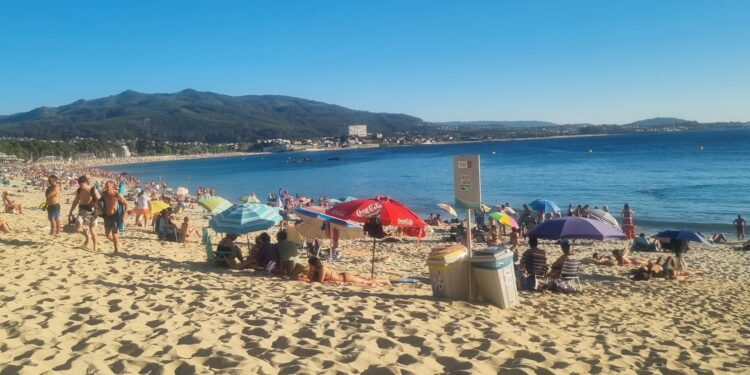 Mi apoyo a los jodechinchos