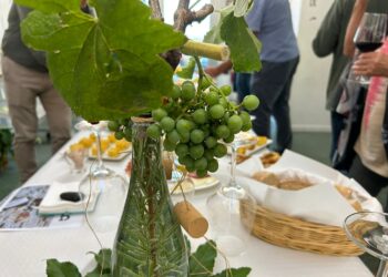 Imprescindibles do verán: chega a cita coa Festa do Tinto Rías Baixas