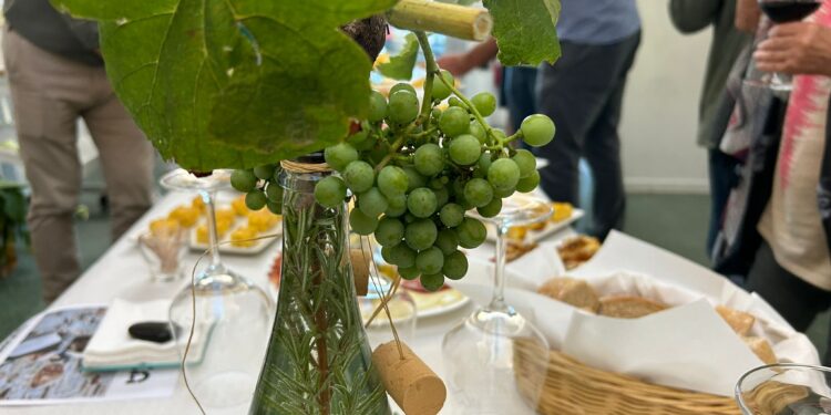 Imprescindibles do verán: chega a cita coa Festa do Tinto Rías Baixas