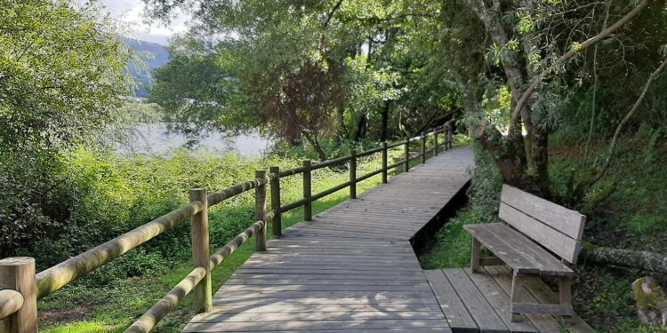 Ocho nuevas rutas para descubrir la riqueza de Tomiño a pie o en bici