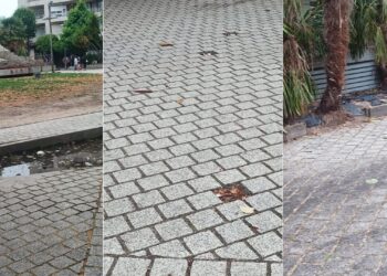 «Caballero prioriza la propaganda y las inauguraciones de nuevas obras mientras abandona barrios y parroquias»