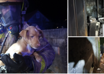 Herido un hombre tras un incendio en una vivienda en Covelo
