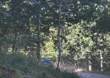 Curioso hallazgo en los montes de Coruxo: ¿Qué hace una máquina recreativa tirada en una pista forestal?