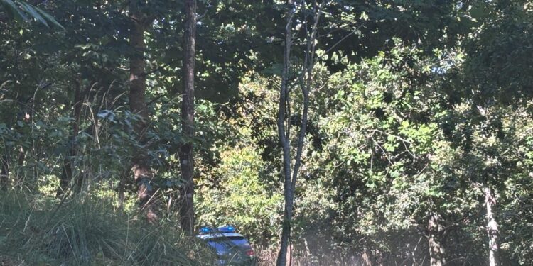 Curioso hallazgo en los montes de Coruxo: ¿Qué hace una máquina recreativa tirada en una pista forestal?