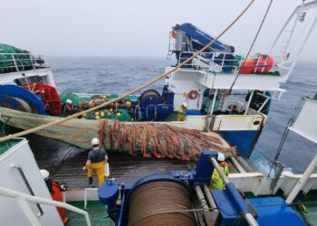 Una campaña del Instituto de Oceanografía estudia los recursos pesqueros de Terranova