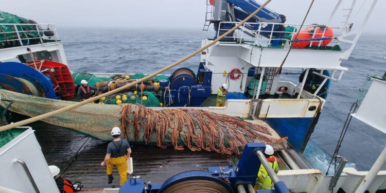 Una campaña del Instituto de Oceanografía estudia los recursos pesqueros de Terranova