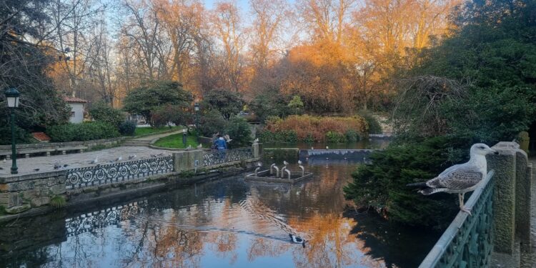 El lago de Castrelos, parques o mejoras en edificios: Caballero añade 11 millones (y van 34) a la ampliación presupuestaria