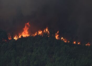 A Cañiza estrena el sistema de alertas masivo: los vecinos, obligados a confinarse ante el grave incendio