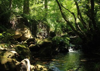Eliminado un punto de vertido de aguas residuales al río Zamáns