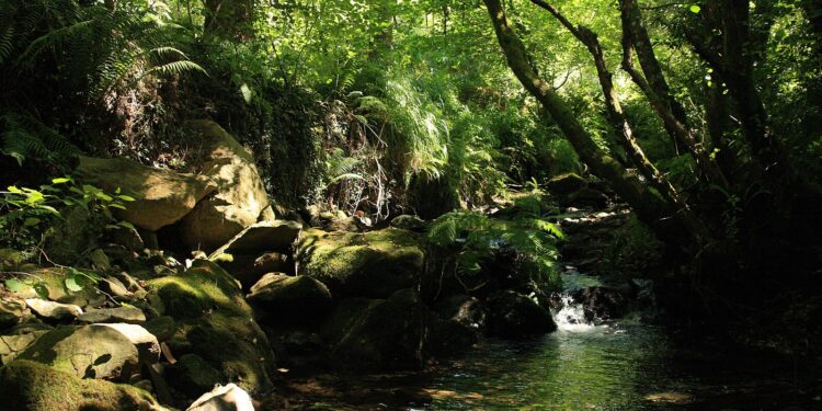 Eliminado un punto de vertido de aguas residuales al río Zamáns