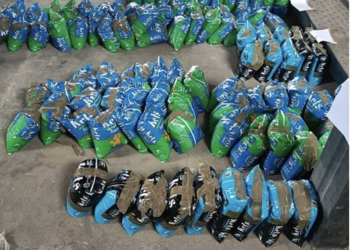 Dos detenidos en Portugal por introducir por el puerto de Vigo 400 kilos de cocaína mezclada con arena de gato
