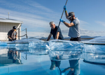 Investigadores vigueses estudian cómo las olas de calor marinas afectan al equilibro de los ecosistemas oceánicos