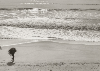 El Camino Portugués, captado por los fotógrafos de tres siglos
