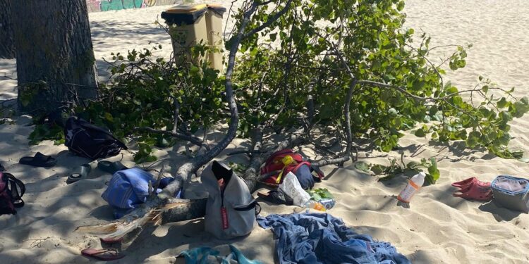 Herida grave una mujer tras caerle una rama encima en la playa de Samil