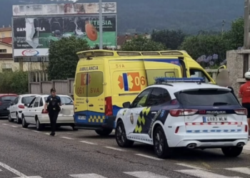 Herida una mujer tras caerle un árbol encima en Poio