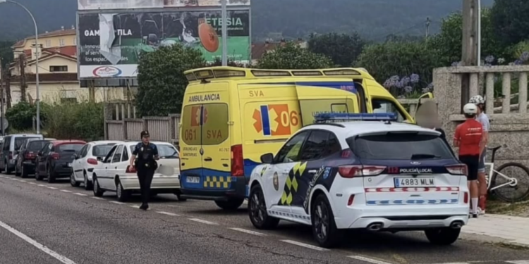 Herida una mujer tras caerle un árbol encima en Poio