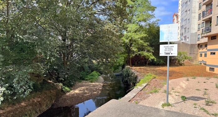 Tramo libre de pesca sin muerte