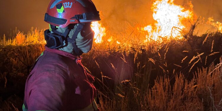 Alerta máxima por graves incendios al norte de Portugal: desalojos, evacuaciones y bomberos heridos