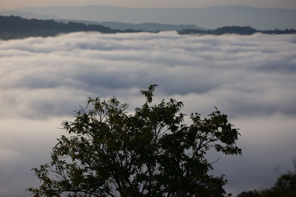 El hipnótico amanecer desde el Monte Alba: así desaparece Vigo bajo la niebla