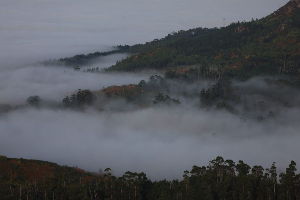 El hipnótico amanecer desde el Monte Alba: así desaparece Vigo bajo la niebla